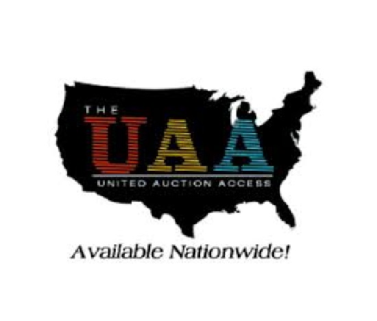 Image for UAA INT INC with ID of: 3504303