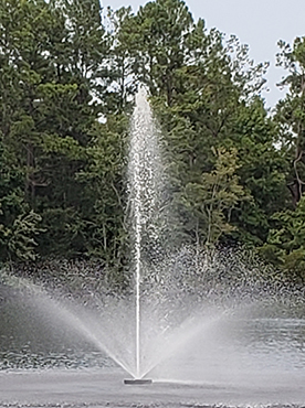 Image for Fountains 2 Go with ID of: 3505166