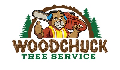 Image for business tree removel with ID of: 3506209