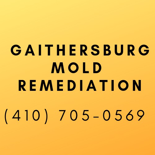 Image for Gaithersburg Mold Remediation with ID of: 3507558