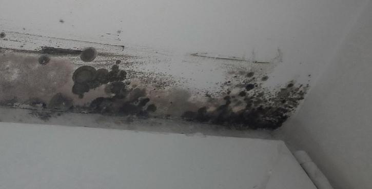 Image for Gaithersburg Mold Remediation with ID of: 3507588