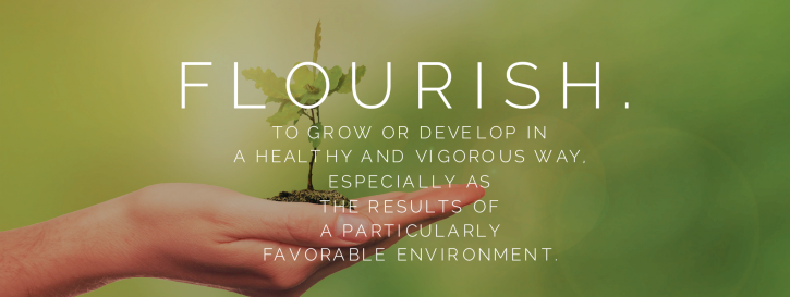 Image for Flourish Day Spa LLC with ID of: 3508056