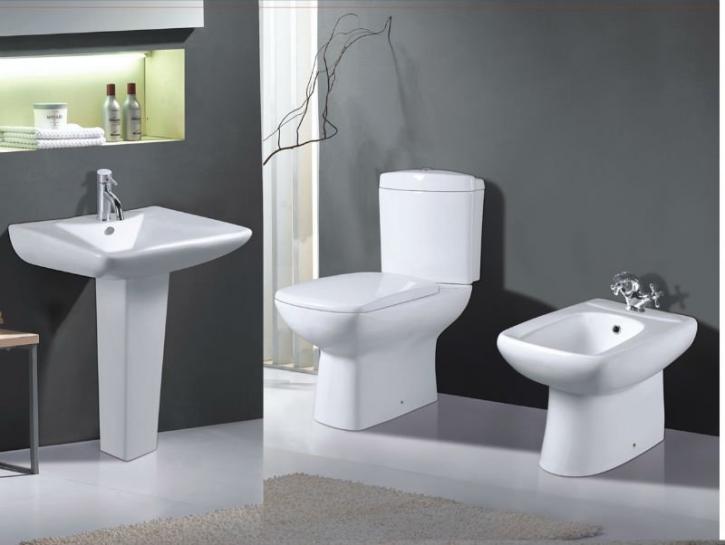 Image for Ceramic Sanitary Ware Market Study By Type, Application & Top Key Players - Duratex S.A., Duravit AG, Geberit Group, Hindustan Sanitaryware & Industries Limited, Ideal Standard International S.A. with ID of: 3508297