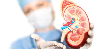 Image for Nephrologist in Faridabad with ID of: 3508417