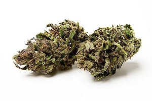 Image for Does CBD Oil Work as a Pain Reliever? with ID of: 3509889