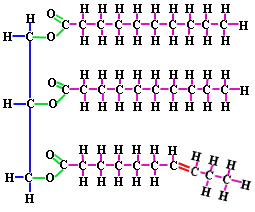 Image for Lipid Market Study By Type, Application & Top Key Players - Archer Daniels Midland Company, Avanti Lipids Polar, Inc., Cargill, Incorporated, E. I. du Pont de Nemoursand Company with ID of: 3511132