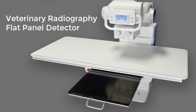 Image for Veterinary Radiography Flat Panel Detector Market Size, Share, and Outlook, 2019-2027 with ID of: 3511665