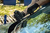 Image for Texas Windshield Service with ID of: 3513817