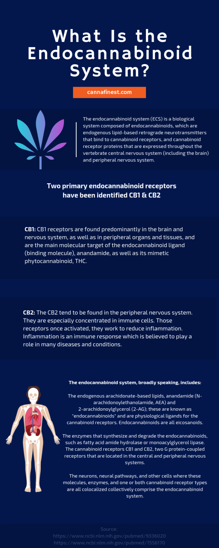 Image for CBD oil for pain with ID of: 3514209