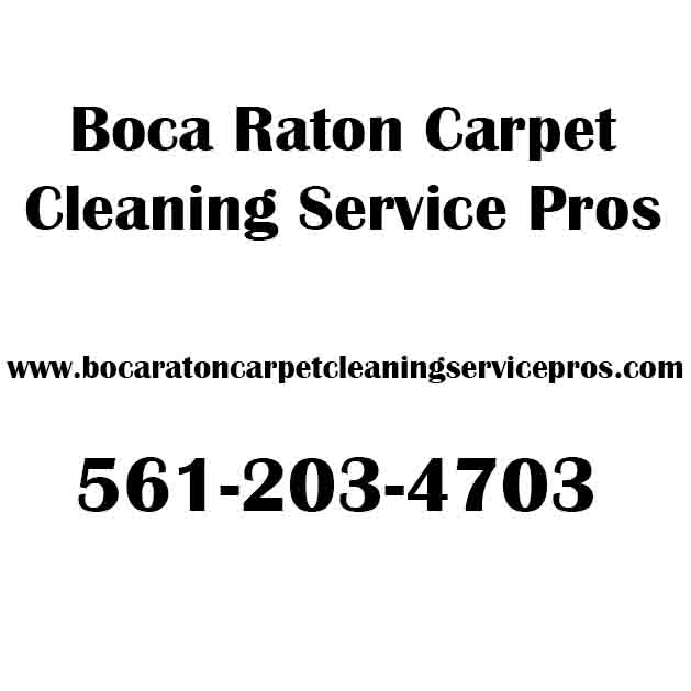 Image for Boca Raton Carpet Cleaning Service Pros with ID of: 3514785