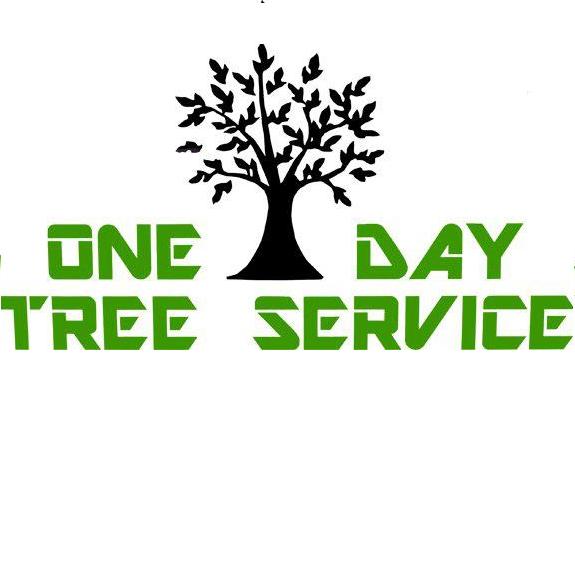 Image for One Day Tree Service with ID of: 3515012