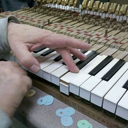 Image for PianoWorks with ID of: 3516347