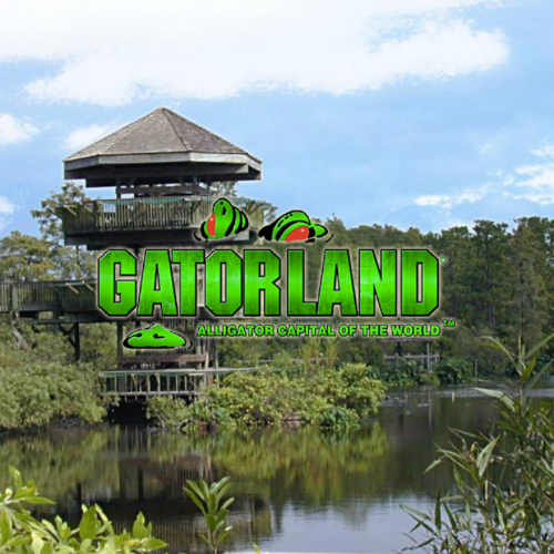 Image for Gatorland with ID of: 3517171