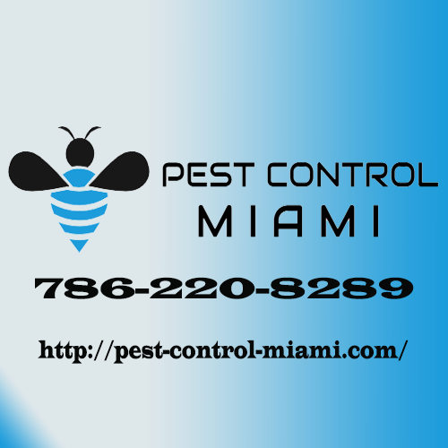 Image for Expert Pest Control Miami with ID of: 3517430
