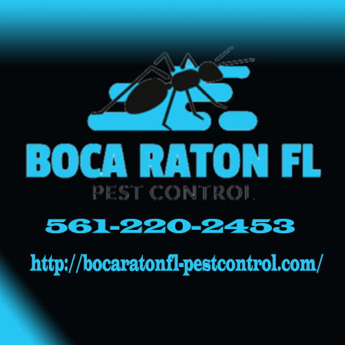 Image for Boca Raton's Best Pest Control with ID of: 3518359