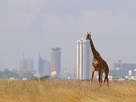 Image for Nairobi City Tours with ID of: 3518978