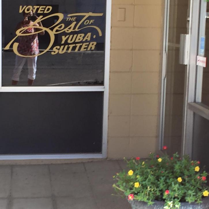Image for Bail Bond Shealy Inc with ID of: 3520624