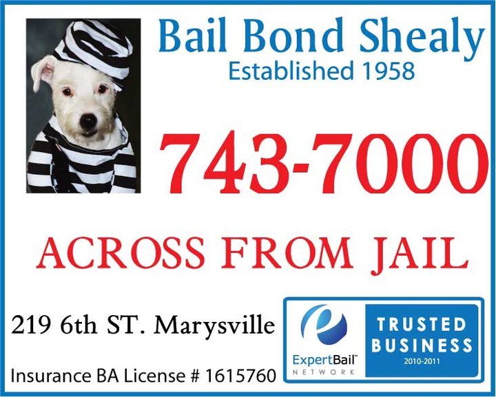 Image for Bail Bond Shealy Inc with ID of: 3520626