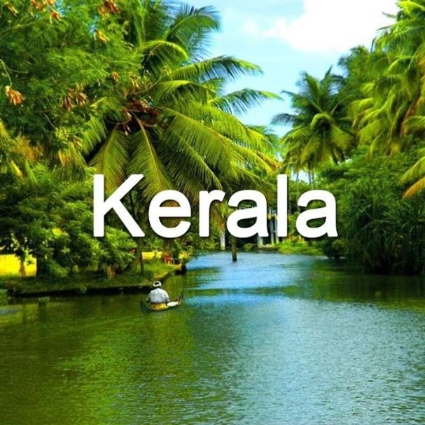 Image for Munnar honeymoon packages with ID of: 3520649