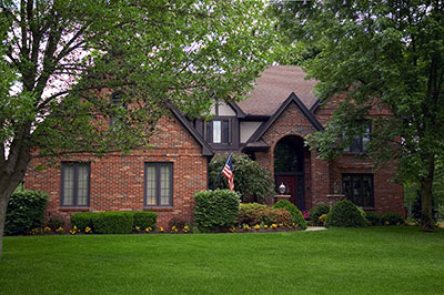 Image for Sarasota Tree Service Experts with ID of: 3520699