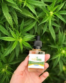 Image for Evercure CBD with ID of: 3521754