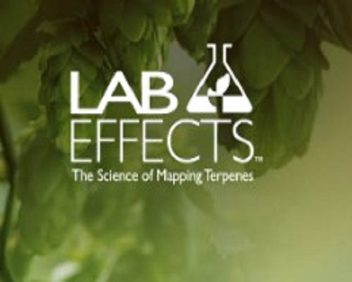 Image for Lab Effects with ID of: 3522262