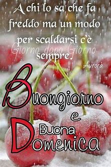 Image for Olimpiadi Informatica with ID of: 3524761