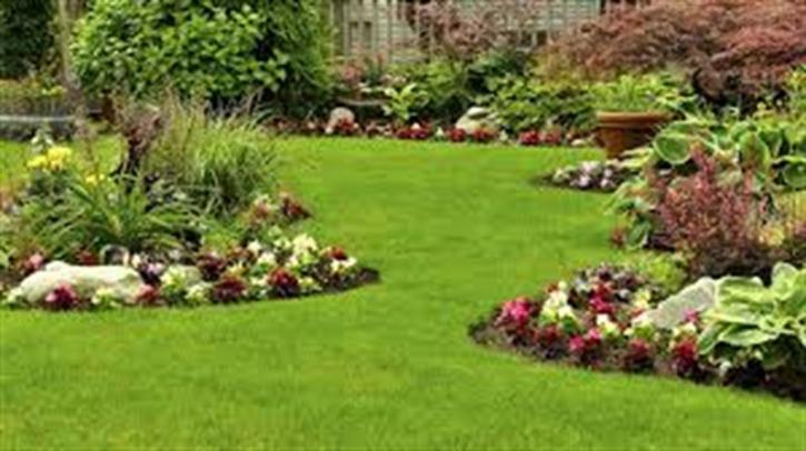 Image for A+ Landscaping & Hardscaping with ID of: 3526169