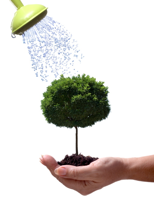 Image for Erickson Quality Tree Works with ID of: 3527842