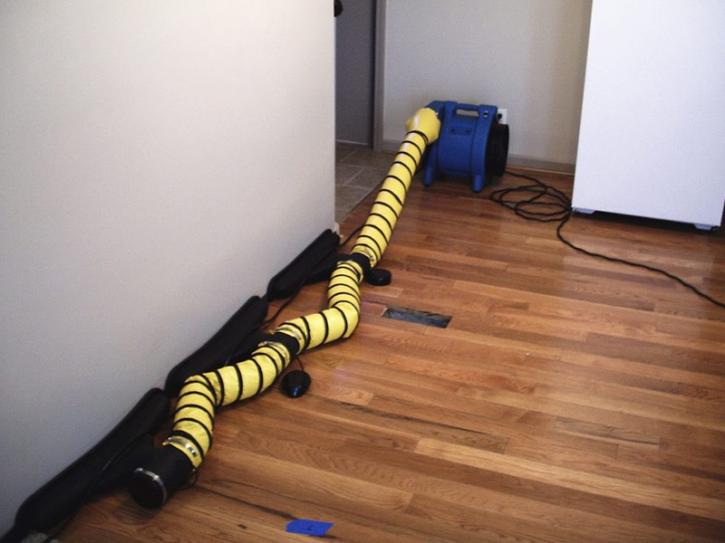 Image for mold inspection columbia sc with ID of: 3528996