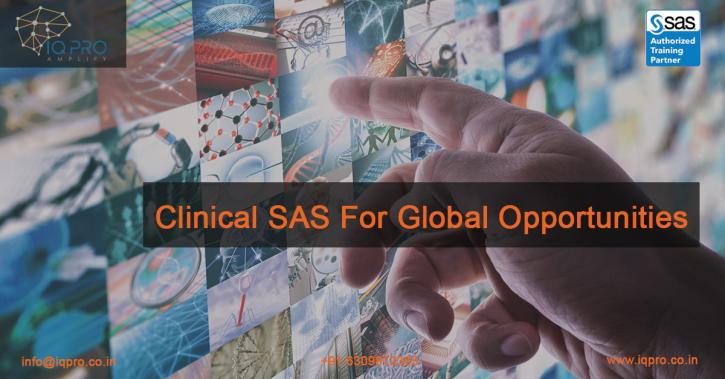Image for Clinical SAS with ID of: 3529587