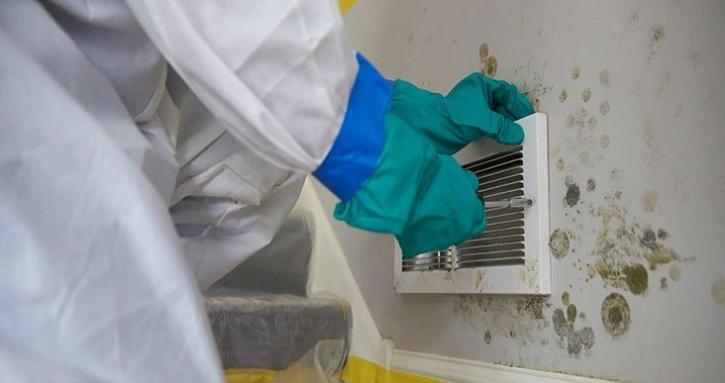 Image for Optimum Mold Inspection and Testing with ID of: 3529828