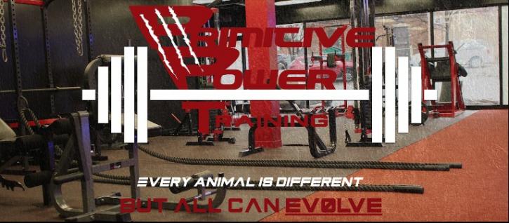 Image for Primitive Power training with ID of: 3530057