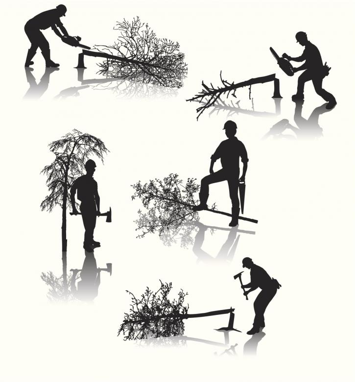 Image for Dirt Works Enterprises, Inc with ID of: 3530139