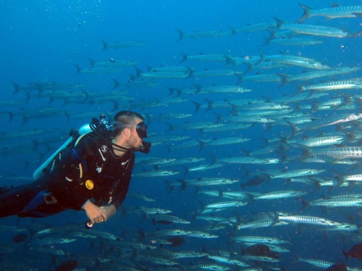 Image for Togian island with ID of: 3530501