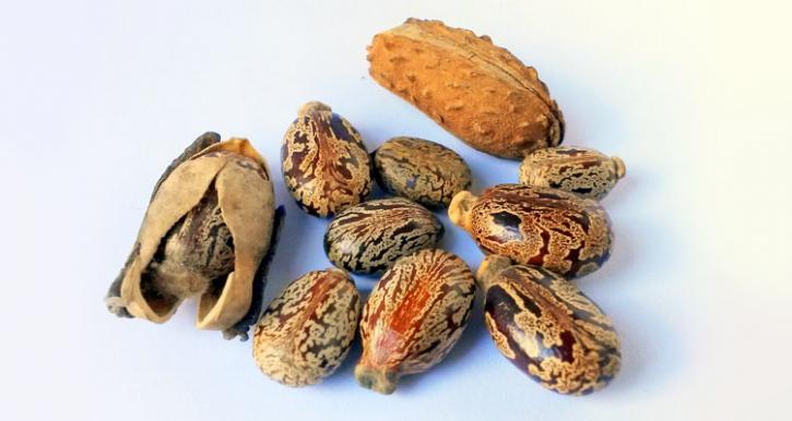 Image for Bio-Polyamide Market Study By Product, Application & Top Key Players - Arkema S.A., Asahi Kasei Corporation, BASF SE, Domo Chemicals, E. I. du Pont de Nemours and Company with ID of: 3533324