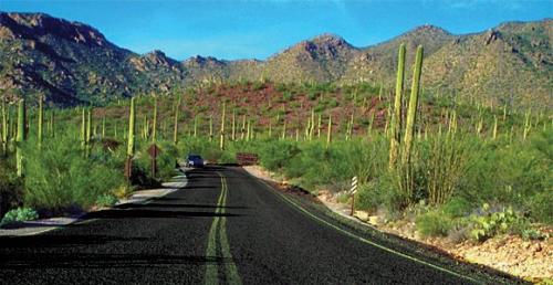 Image for A Plus Insurance with ID of: 3534909