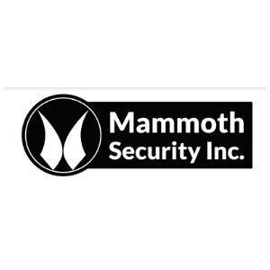 Image for Mammoth Security Inc. Norwalk with ID of: 3535249