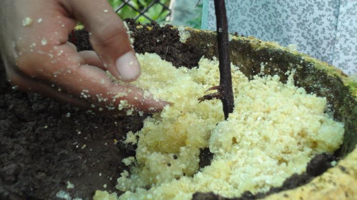 Image for Natural Polymer Market Study By Product Type, Application & Top Key Players - Akzo Nobel NV, Arizona Chemical, Ashland Incorporated, Cargill Incorporated, Croda International with ID of: 3536820