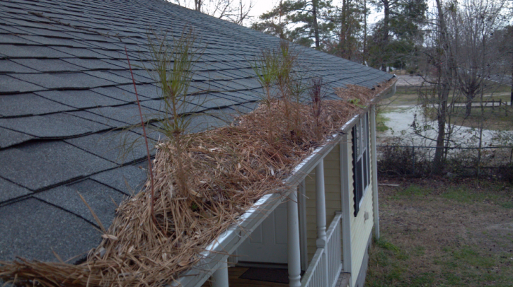 Image for Eavestrough Cleaning Edmonton with ID of: 3537668