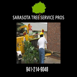 Image for Sarasota Tree Service Pros with ID of: 3538483
