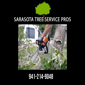 Image for Sarasota Tree Service Pros with ID of: 3538484