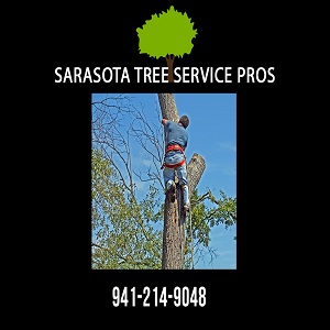 Image for Sarasota Tree Service Pros with ID of: 3538485