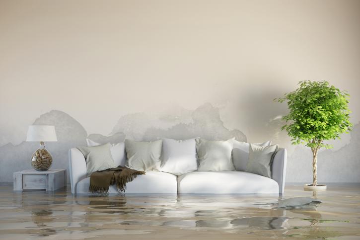 Image for Green Planet Restoration with ID of: 3538523