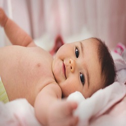 Image for Los Angeles Surrogacy Center with ID of: 3539260