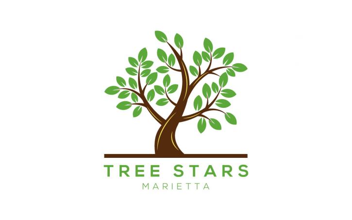 Image for Tree Stars Services Marietta with ID of: 3539527