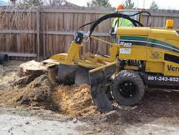 Image for Tree Stars Services Marietta with ID of: 3539545
