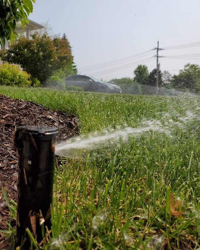 Image for Black Mist Irrigation with ID of: 3542160