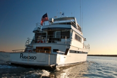 Image for Paradiso Yacht Charters with ID of: 3542534