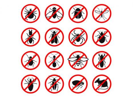 Image for Grant Exterminating with ID of: 3542574